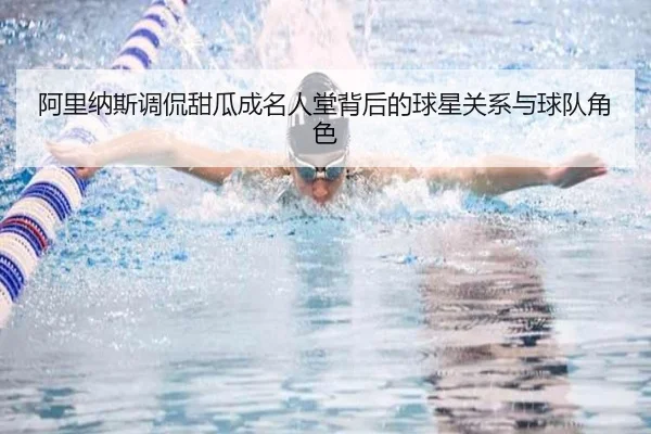 阿里纳斯调侃甜瓜成名人堂背后的球星关系与球队角色